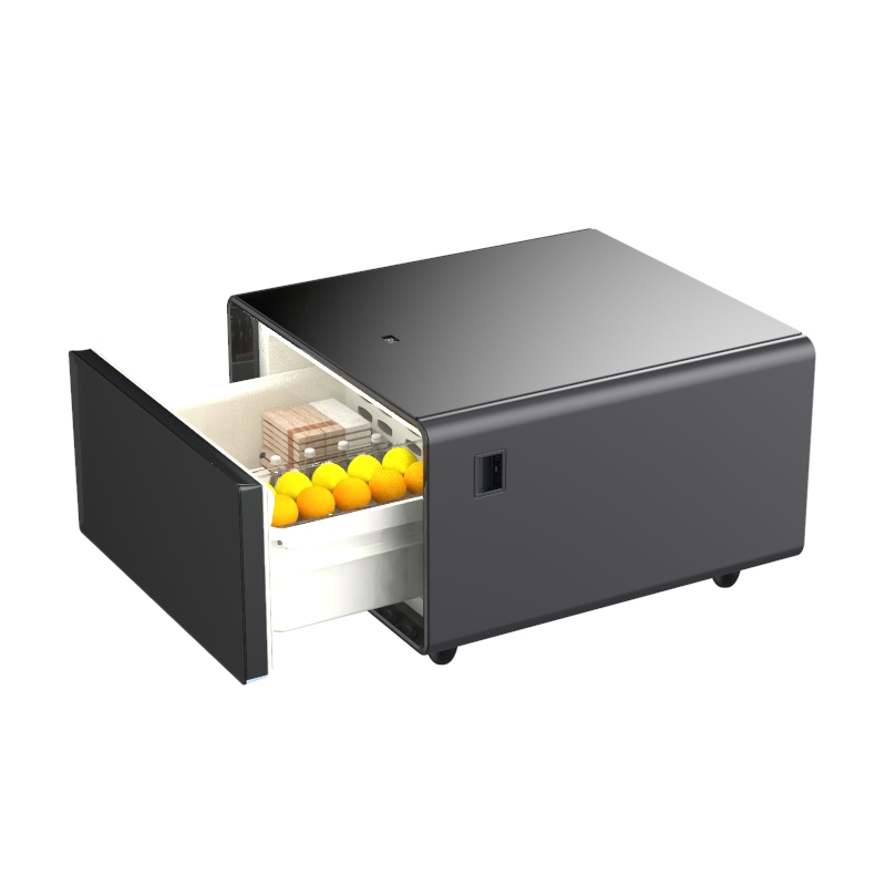 ตู้เย็นเครื่องสำอาง ตู้เย็นมิน - Beauty Makeup Fridge บทวิจารณ์และราคา